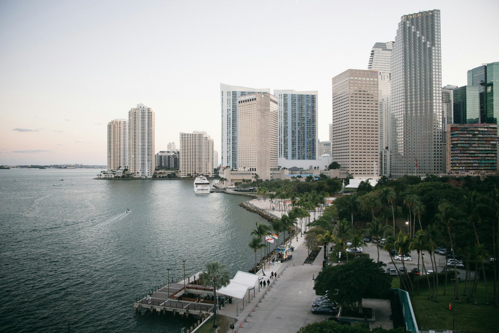 Palm-lined waterfront and downtown Miami skyline